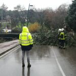 Bomberos realizan 196 intervenciones por el viento y la lluvia en la capital y la región