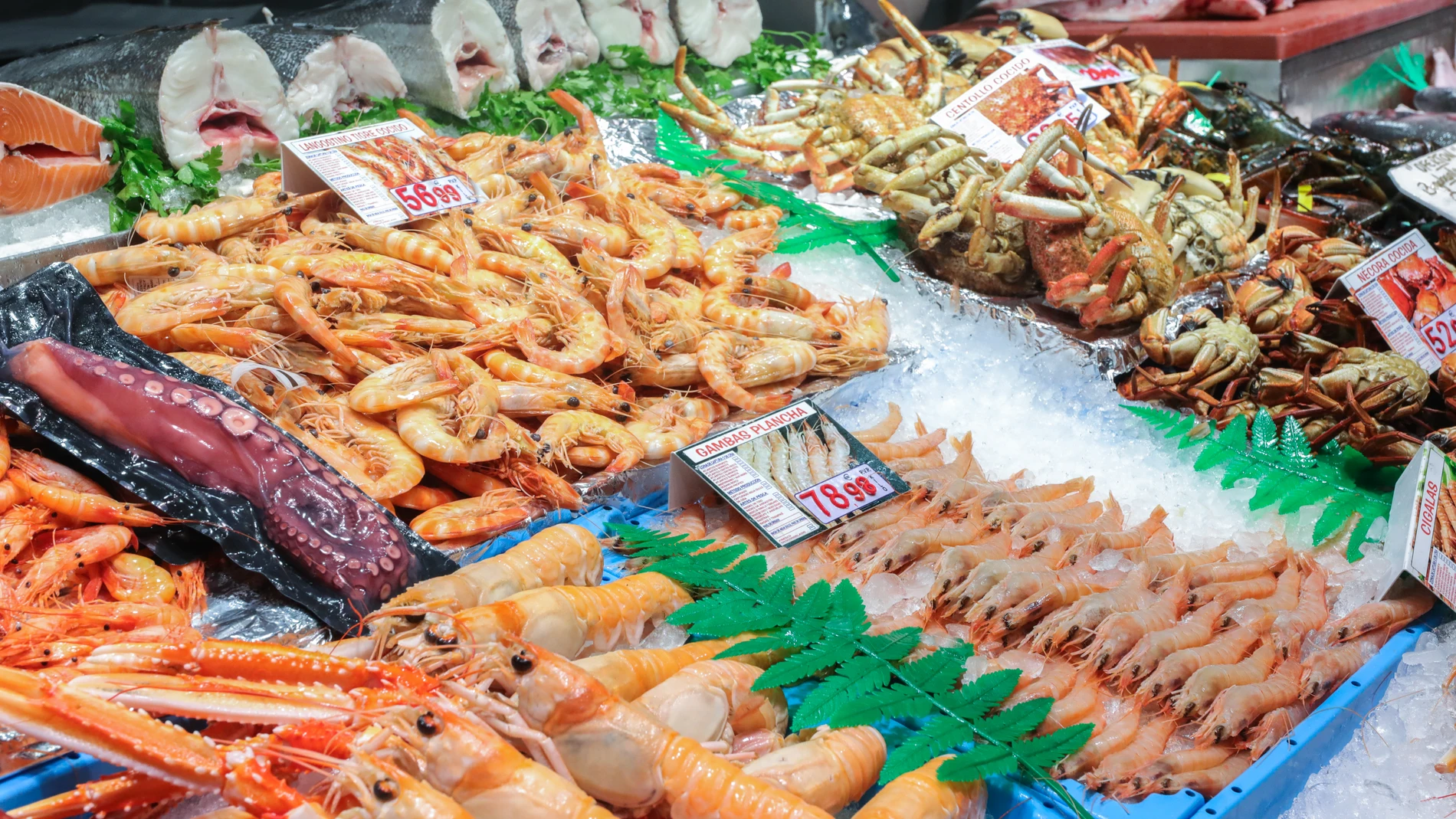 Recursos de pescadería