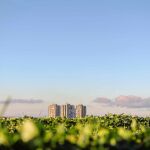 El gran reto de las ciudades del futuro