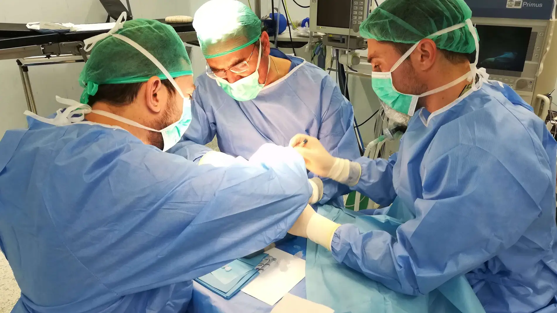 España alcanza en 2019 máximos históricos en trasplante renal y pulmonar y aumenta en un 2,7% el número de donantes