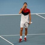 Novak Djokovic, después de ganar su partido ante Medvedev