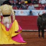 Toro de lidia en una plaza