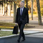 El ministro de Interior, Fernando Grande-Marlaska.