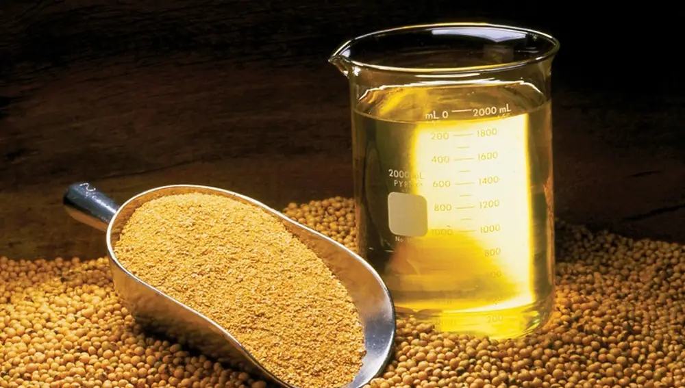 Aceite de soja.UNITED SOYBEAN BOARD17/01/2020