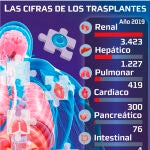 las cifras de los trasplantes