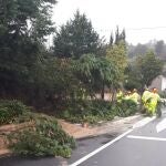 Más de 200 llamadas al 112 por incidentes relacionados con las fuertes rachas de viento