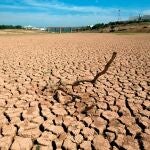 El clima de España podría pasar de un clima mediterráneo a un clima estepario