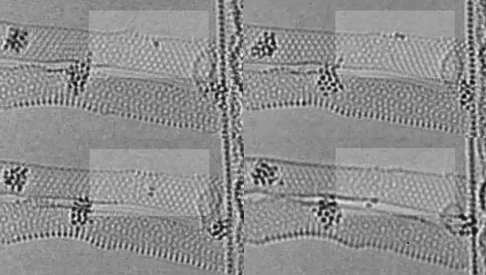 Fotogramas del video. Se ven a dos átomos de renio unirse y salir del tubo.