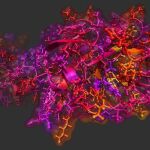 Representación tridimensional de la estructura proteica del nuevo coronavirus.