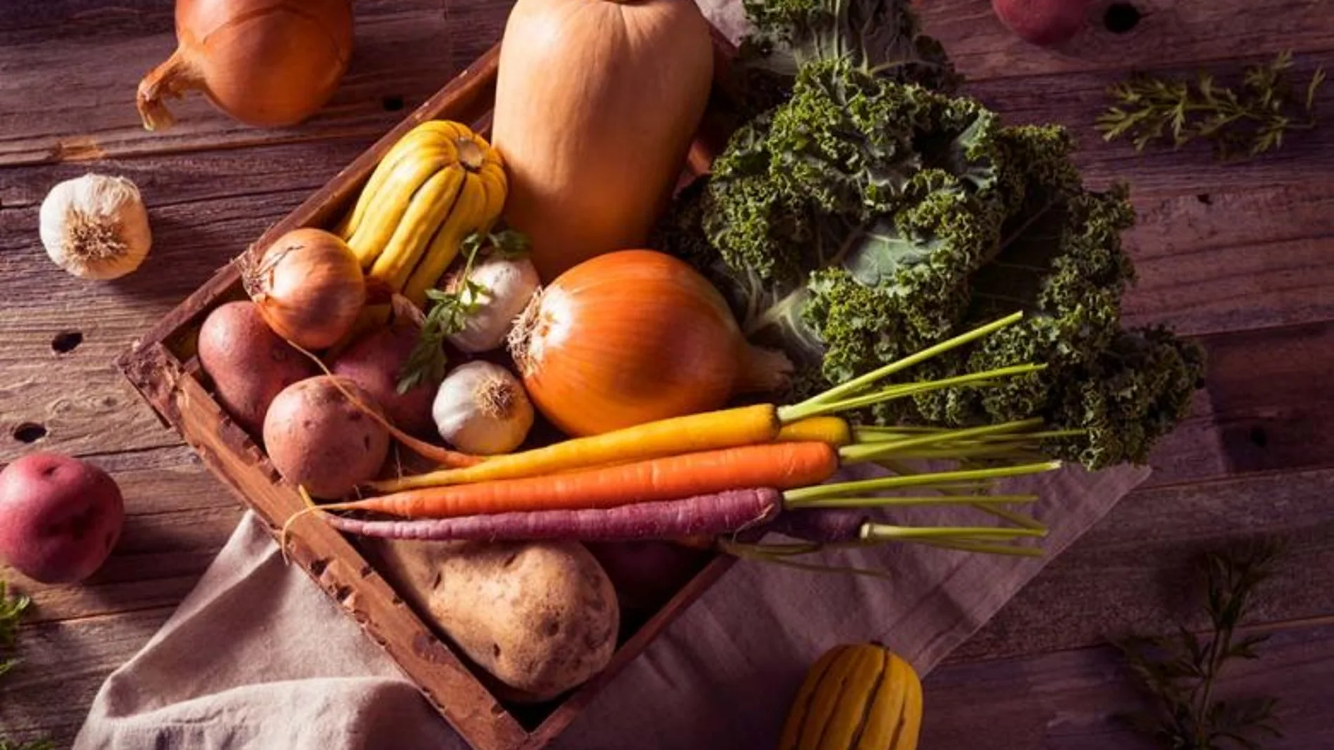 Según la ONU, la degradación de las tierras ha reducido la productividad un 23% en el conjunto de las areas terrestres