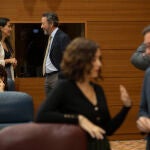 Pleno de la Asamblea de Madrid