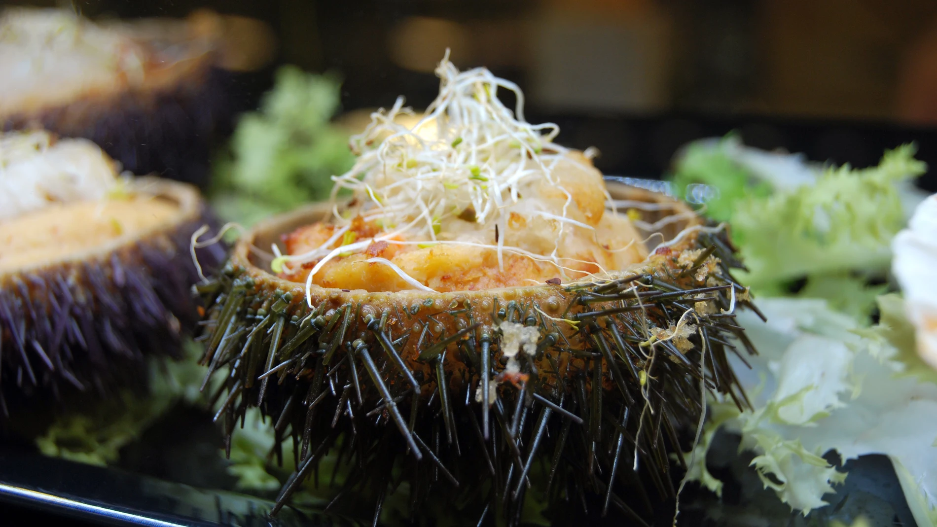 El erizo de mar es una apuesta gastronómica healthy