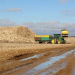 Las obras que sí comenzaron en el mes de diciembre son las relativas al tramo entre Tudela y Olivares del Duero