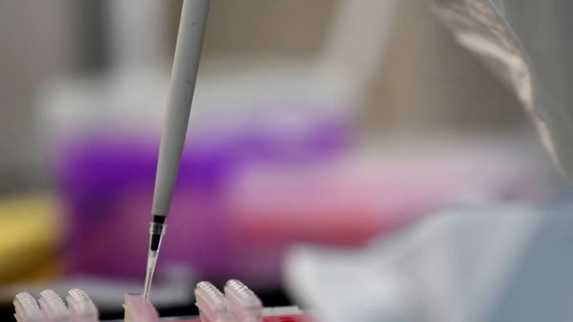 Coronavirus.- Investigadores chinos inician los ensayos en animales de la nueva vacuna contra el coronavirus