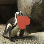 Los mejores poemas para San Valentín