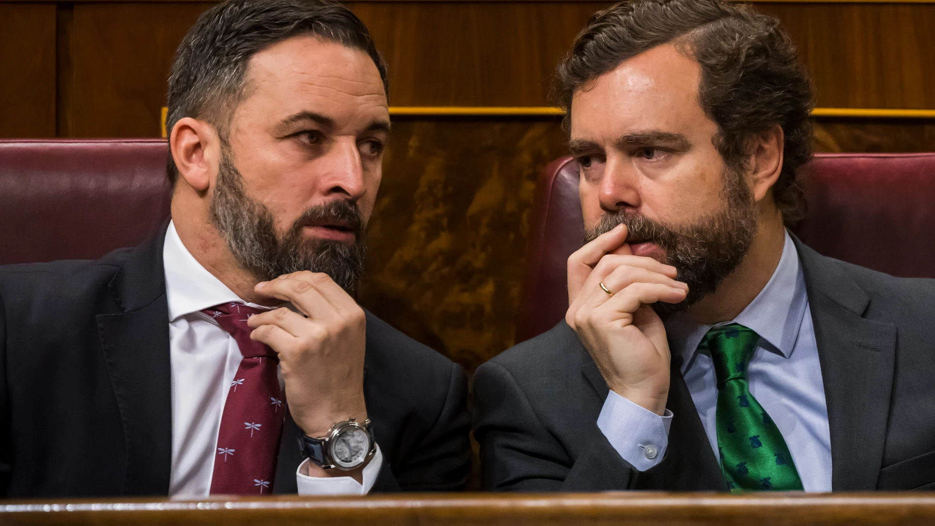 Primera Sesion de Control al Nuevo Gobierno en el Congreso de los DiputadosSantiago Abascal y Espinosa de los Monteros durante el Pleno de Hoy© Alberto R. RoldanMADRID 12/02/2020