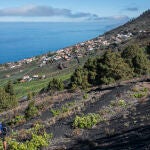 La ruta de los volcanes permite al viajero pisar por antiguos senderos de lava