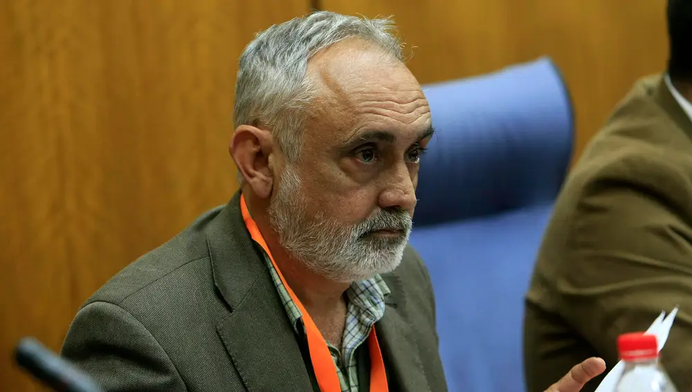El ex director de la Faffe, Fernando Villén