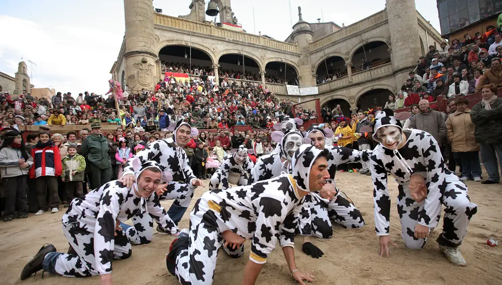 Un grupo de jóvenes disfrazados de vaca disfrutan del "Carnaval del Toro" de Ciudad Rodrigo (Salamanca)