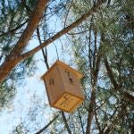 Una de las cajas instaladas ayer en un parque de la capital