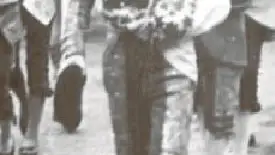 Archivo de la familia Infante