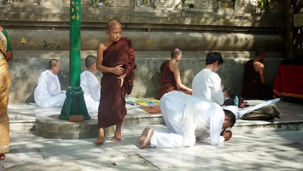 Fieles rezan y meditan bajo el árbol sagrado.