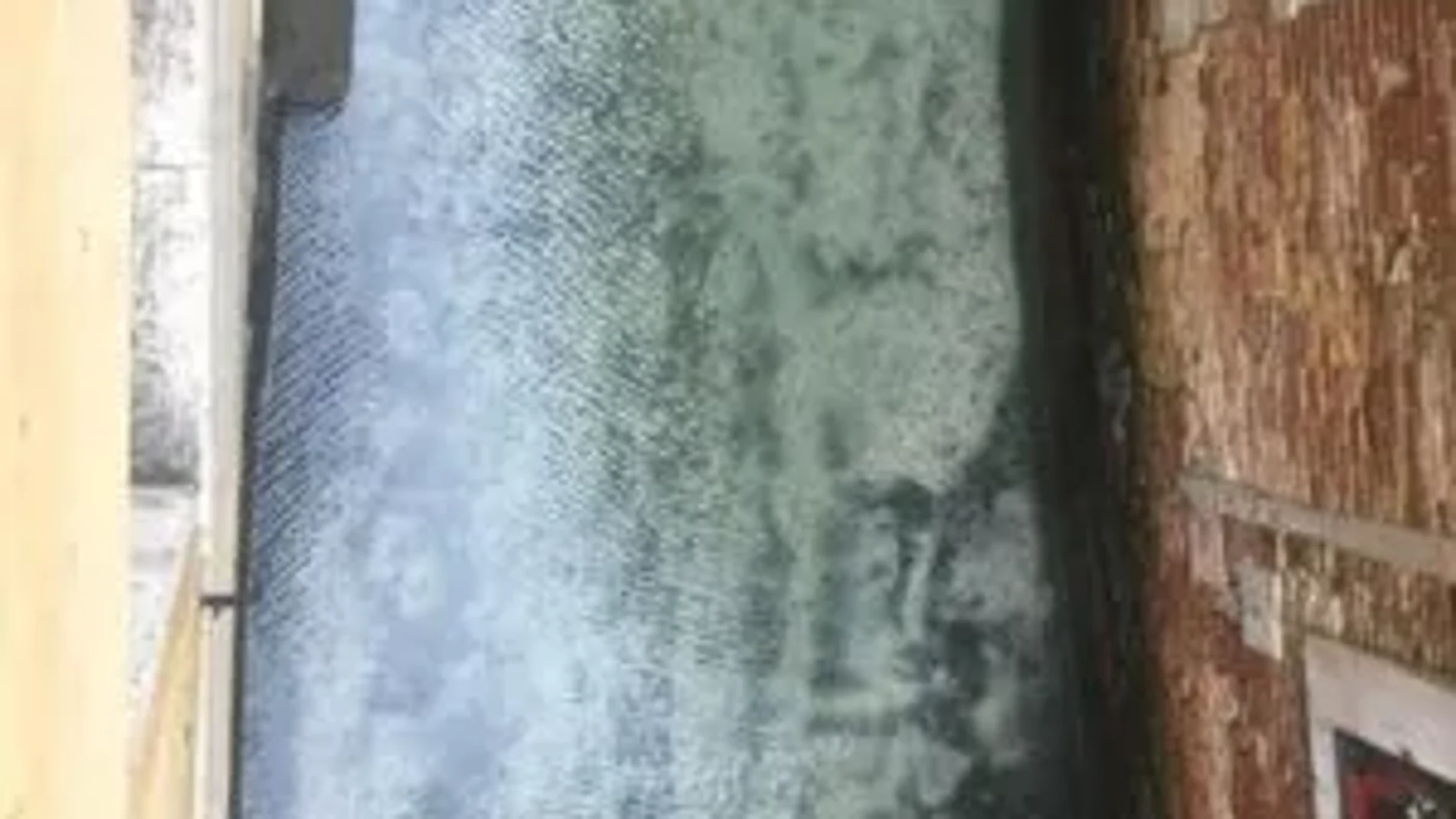 La ausencia de barcos ha permitido que el agua quede cristalina