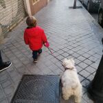 Un niño pequeño pasea una mascota durante el estado de alarma / LA RAZÓN