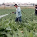 El sector agrario mantiene el tipo y mira al medio plazo