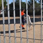 Un trabajador juega con un perro en una perrera.
