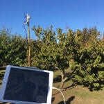 El grupo operativo Smart AG Services desarrolla un servicio avanzado que aplica al campo tecnologías como imágenes satelitales, sensórica, telemetría, drones y cloud