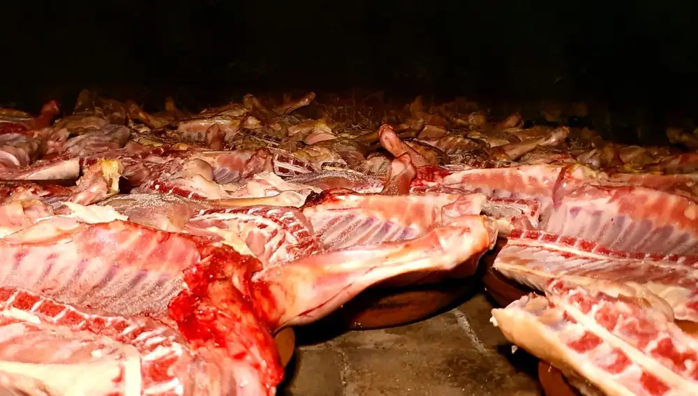 Cuartos de lechazo listos para asarse en el Mesón El Corralillo de Peñafiel