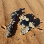 Fulgurita encontrada en el desierto de Mauiritania