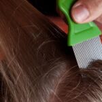 La Conselleria de Sanidad no ha detectado grandes infestaciones de piojos en todo el curso