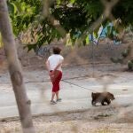 La autora pide un mayor control sobre los que utilizan al perro para pasear durante horas o tomar el sol