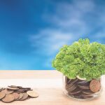 "Semillas de riqueza" identifica las personalidades financieras con árboles