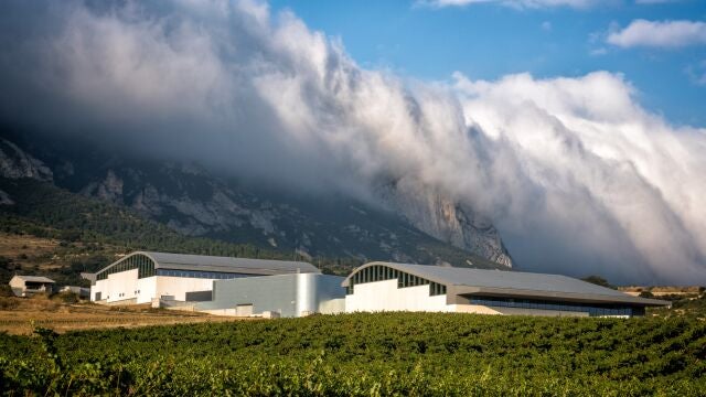 Bodega de Vega SiciliaVEGA SICILIA (Foto de ARCHIVO)01/10/2016