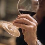 Científicos del King’s College de Londres investigaron el efecto de la cerveza, el vino tinto, el vino blanco y una bebida alcohólica de alta graduación sobre la salud del microbioma intestinal