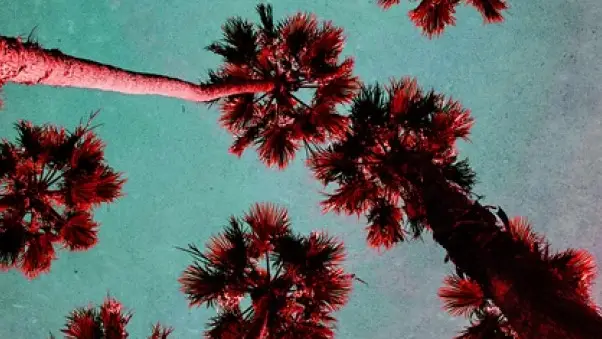 &quot;Mis rincones oscuros&quot; de James Ellroy