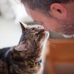 Para los gatos, la diferencia en esta situación es que sus dueños pasan más tiempo en casa.