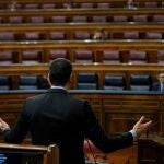 El presidente del Gobierno, Pedro Sánchez, interviene en una sesión de control al Gobierno en el Congreso de los Diputados