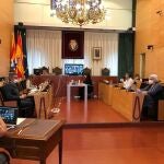 Pleno extraordinario del Ayuntamiento de Badalona