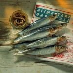 Las anchoas son una buena fuente de vitamina D.