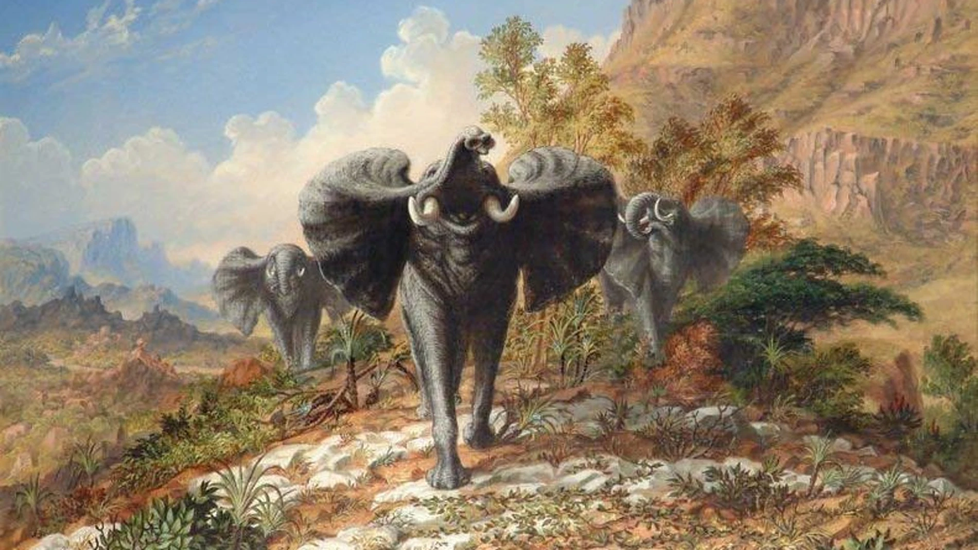 "Elefantes de oro y marfil cargando contra el país de la cuarentena". Óleo de Thomas Baines (1873)