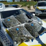 Cinco bolsas de marihuana interceptadas recientemente en un control en Villaverde, Madrid, por la Policía Municipal