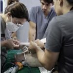 AME8102. SAN JOSÉ (COSTA RICA), 06/05/2020.- Médicos realizan este miércoles la prueba de un prototipo de ventilador mecánico portátil en un cerdo, el dispositivo que hasta el momento ha dado resultados positivos luego de una serie de validaciones y protocolos podría ser usado en pacientes COVID-19, en San José, Costa Rica. EFE/Jeffrey Arguedas