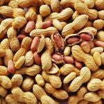 El cacahuete suele estar presente en muchos dulces, chuches o productos de repostería, los que más suelen gustar a los niños