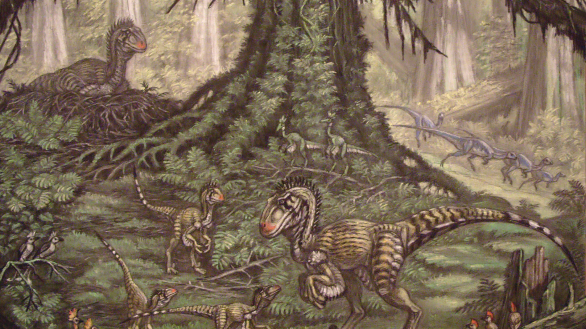 Recreación de una familia de Utahraptor, con los dos progenitores y varias crías.