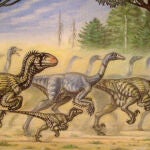 Esta imagen nos presenta a un grupo de Utahraptor acosando a una manada de ornitomímidos. El grupo de cazadores incluye a un ejemplar joven, casi una cría. ¿Cuán realista es esta idea?