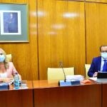 El director general de la RTVA, Juande Mellado, en comisión parlamentaria